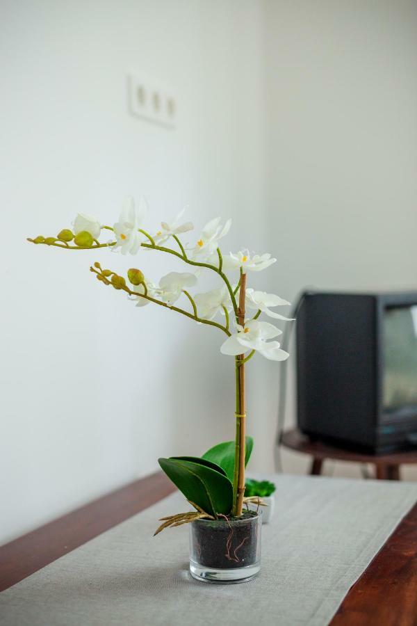 Viragos Vendeghaz Apartment Кестели Екстериор снимка